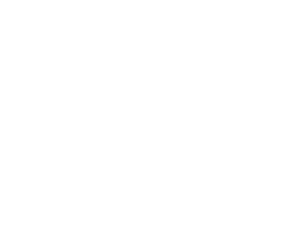 cleanerpro palermo logo